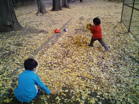 いざ♪　昭和公園へ　その３　落ち葉遊び